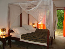Shimba Hills accommodation, Tree House