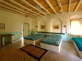 Egypt tour, Cairo to Dakhla Oasis to Luxor