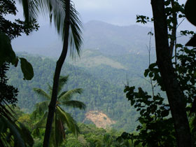 Kandy accommodation, eco lodge in Sri Lanka