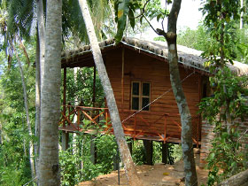 Kandy accommodation, eco lodge in Sri Lanka