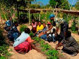 Lake Malawi volunteer holiday, Mozambique