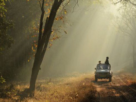 satpura jungle