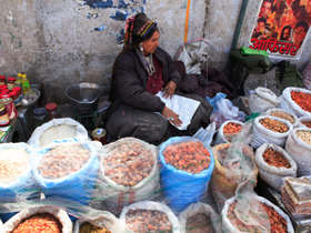 India village walks & homestay accommodation