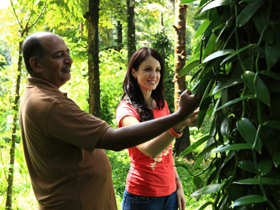 Plantation homestays in Kerala & Karnataka, India