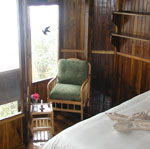 Room at Cloudforest ecolodge