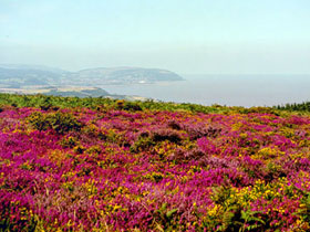 Organic farmstay accommodation in Somerset, England