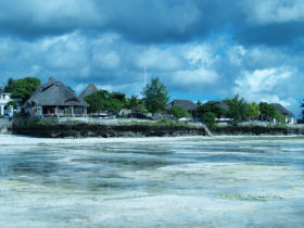 Zanzibar beach bungalows and hotel