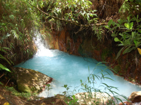 Dominica luxury eco-resort