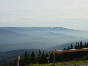 View from the Arber mountain
