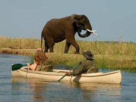 Zambia luxury safari camp