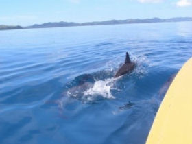 Fiji beach accommodation, Vanua Levu 