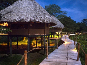 Jungle lodge