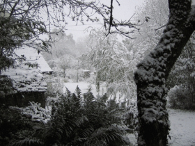 Tamar Valley accommodation, bed and breakfast in Cornwall, England