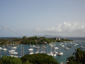 Grenadines