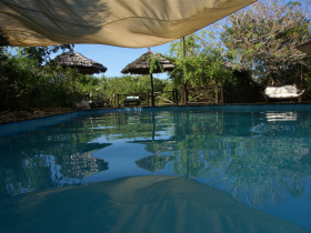 Tanzania wildlife tracking holiday