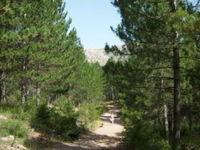 Tipi holidays