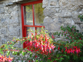 Life coaching in Ireland