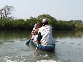 Gambia bush camp accommodation