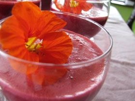 Yoga and detox holiday in Ireland
