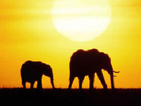 Gabon holiday