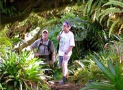 Hiking, Saba ecolodge accommodation