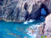 Dive site, Saba ecolodge accommodation