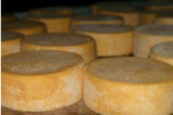 Cheese factory cop-op near Ecuador eco lodge accommodation