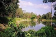 Lake view at Tiger camp in Kanha Reserve