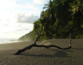 Beach at wildlife lodge in CostaRica