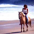 Horse riding on the beach, Indonesia luxury beach resort