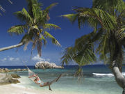 Beach, Honeymoon in the Seychelles