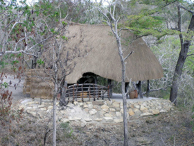 Saadani Safari accommodation by Responsible Travel