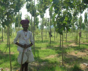 Farm guide at Rajasthan holiday accommodation