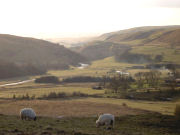 Scenery, Northumberland self catering cottages