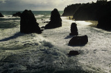 Scenery near Lake Moeraki lodge, New Zealand