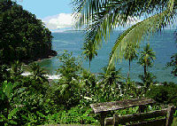 Views from jungle accommodation in Costa Rica