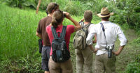 Nature walks, accommodation in Uganda