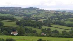 Landscape, Dorset self catering cottage