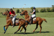 Polo at Argentina horse riding accommodation
