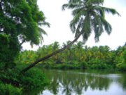 Kerala backwaters, Kerala heritage homestay