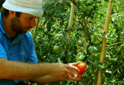Farming near Greece accommodation