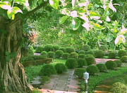 Garden at Kerala resort