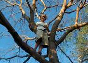 Tree climbing at Nicaragua farmstay accommodation