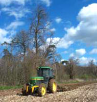 Farm, B&B accommodation in Faversham