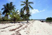 Beach, Ghazi bay beach resort