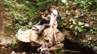 Bird watching, Nicaragua accommodation