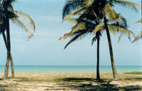 Beach, accommodation in Benin