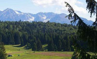 The area, self catering accommodation in Romania