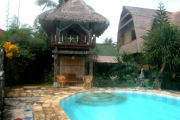 Pool, homestay accommodation in Bali