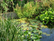 Pond, self catering accommodatiob
